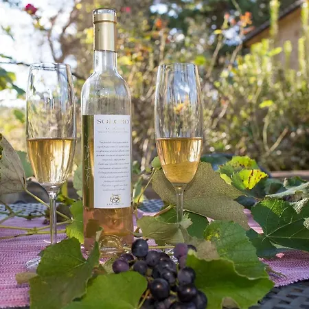 Podere La Casetta - Country house Montaione