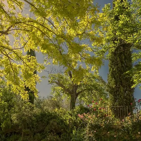 Country house Podere La Casetta - Montaione